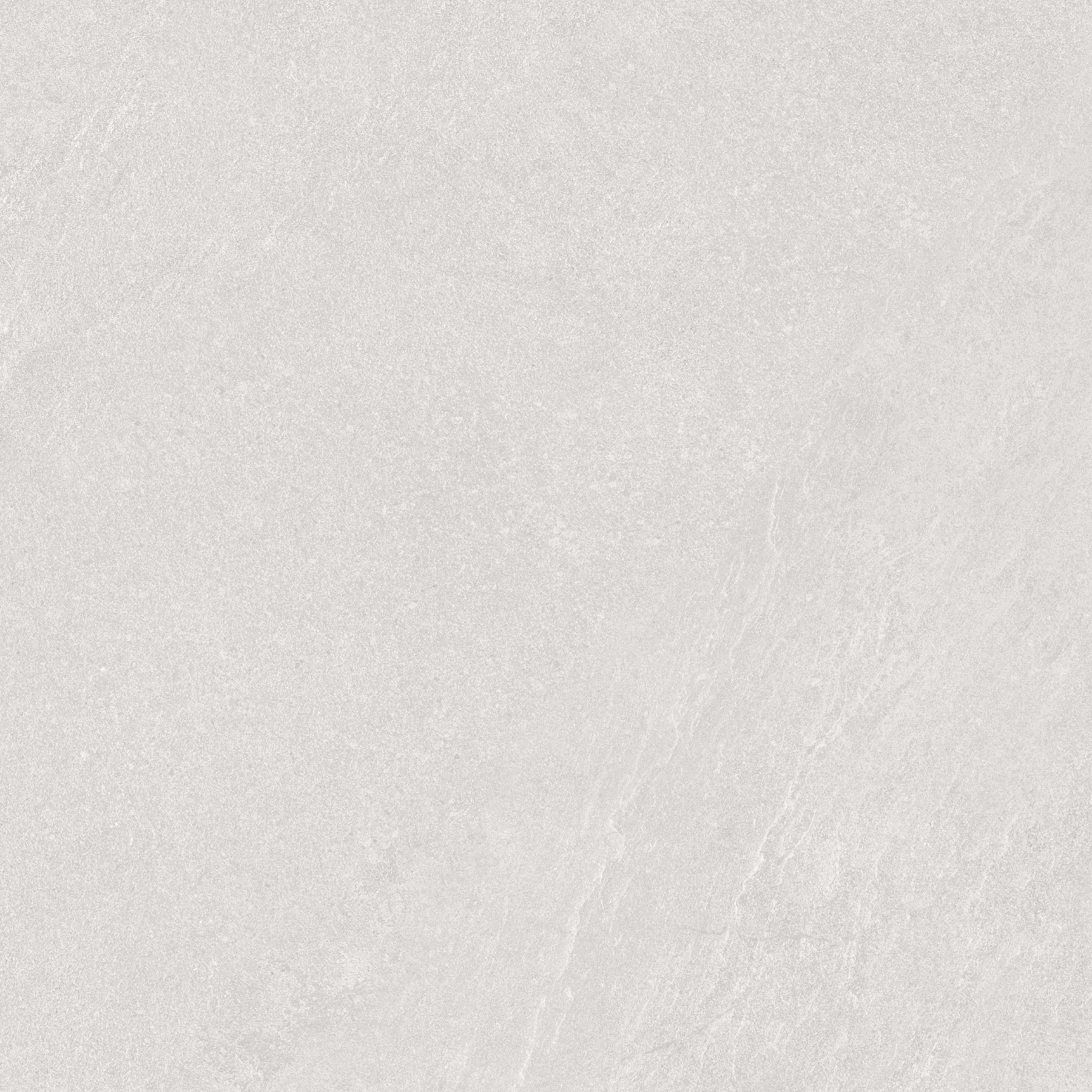 SMM-66005